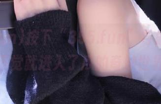 按下“355.fun”导航，不知不觉就进入了瓜的奇妙世界