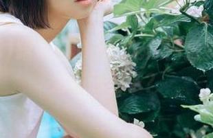 蹭朝阳的光，吃瓜网把资源也打造成萌宠了？