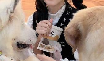 晨光中的奇妙：原来“吃瓜网”苹果版也有朝阳版的魔力，我的小心脏受不了！