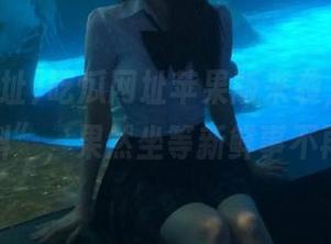 吃瓜网址苹果版来袭，号称“实时爆料”，果然坐等新鲜事不再是梦！