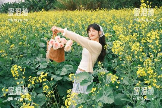 黑料不打烊 黑料不打烊网页版,链接里藏着的故事真让人心痒