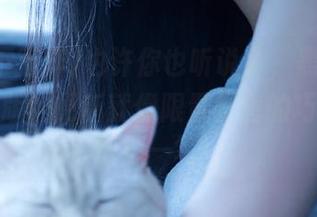 也许你也听说了，黑料不打烊免费版的更新就像限量发售的巧克力…慌得一笔！