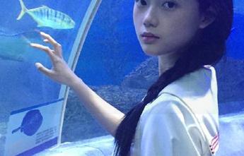 让我们免费畅游黑料不打烊，老司机的豪华之旅